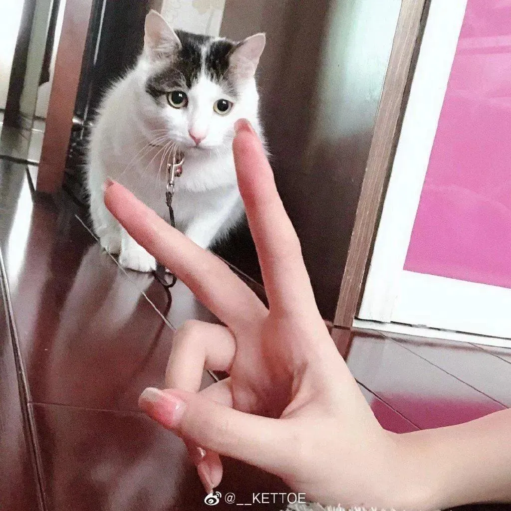 Kettoe – NO.01 微博配图[17] [69P]插图7